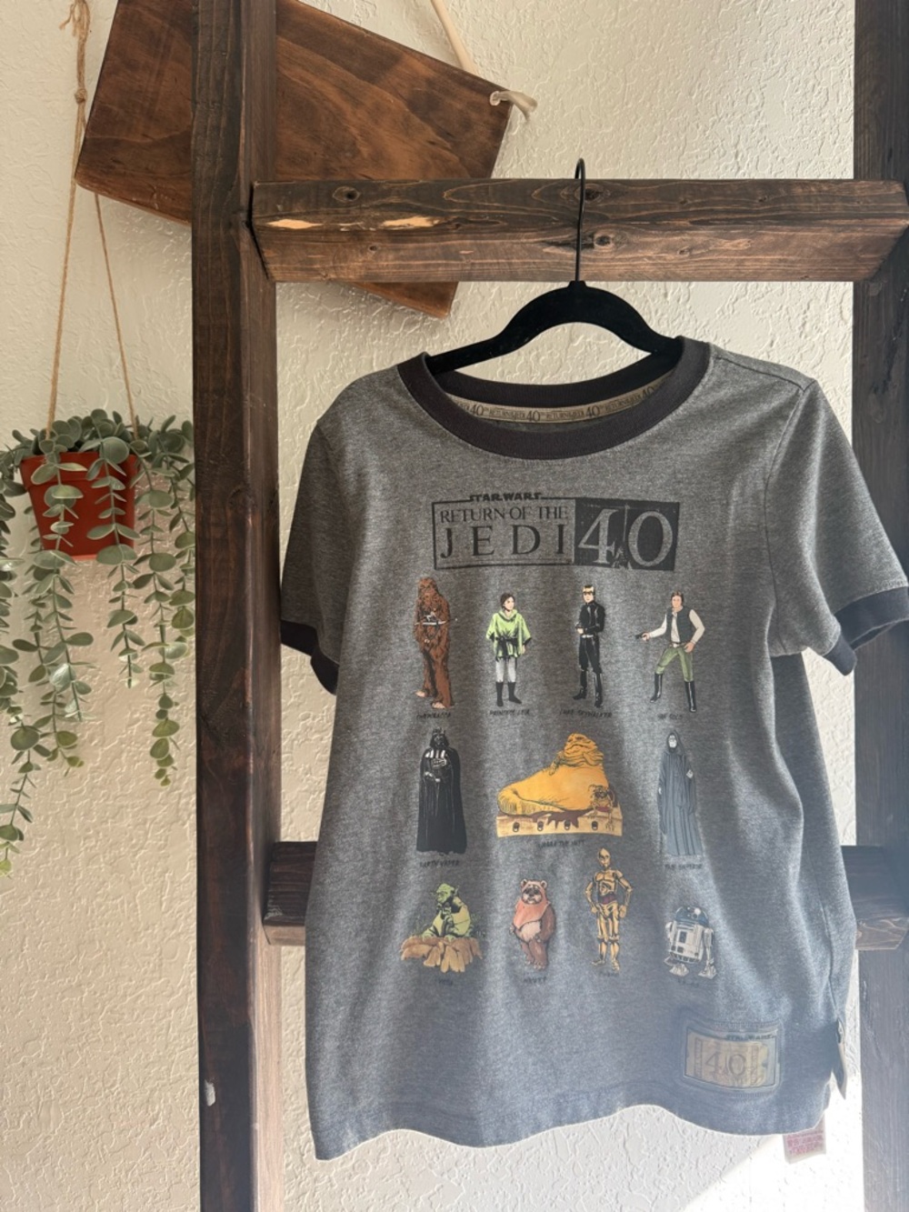 Star Wars Gray Short-Sleeve Kids Tee with Black Trim